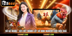 Đá gà mạng - Sức hút mãnh liệt và kinh nghiệm chơi hiệu quả